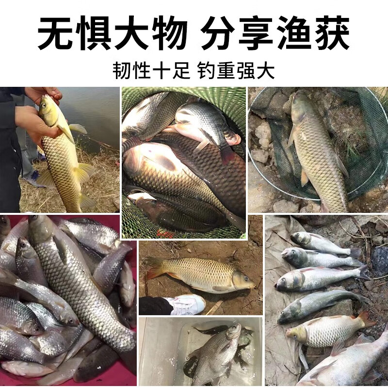 柏鲨 钓鱼竿套装组合手竿海竿鱼杆新手鱼具钓鱼装备全套渔具垂钓用品 3.6+4.5手竿+简易版25件套