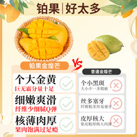 礼盒20斤精品金煌芒新鲜芒果当季水果整箱热带时令10