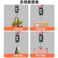 味之享 WeiZhiXiang手提电子秤迷你高精度便携式家用快递钩秤称鱼小型弹簧秤