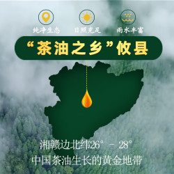 宴典 食用油有机山茶油5L山茶油食用油冷榨纯有机湖南茶油茶籽油