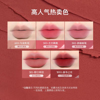 Besnea蓓思妮5g大唇泥口红雾面裸色系哑光唇釉雾感丝绒唇泥 【超百搭裸系打底色】A03#乌龙煎茶~裸感奶咖 气质优雅
