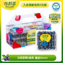 怡颗莓 现货云南蓝莓125g*6盒装