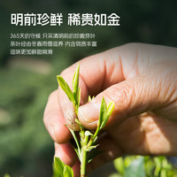 卢正浩2024年新茶明前龙井雨前二级龙井茶品鉴18g一包一泡尝鲜装