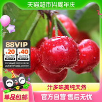 安第斯 Andes 过年备货！天猫超市有保障！！Andes 安第斯 智利进口车厘子樱桃1件装