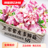 馋鲜园 2025当季云南紫皮大蒜新鲜现挖蒜特大果蒜头5斤农家多瓣蒜