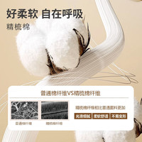 丽婴房（Les enphants）【5A抗菌】内裤儿童5A抗菌内裤5条装A类三角内裤全棉平角内裤 男生平角 5条 140 cm