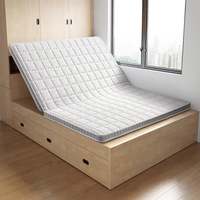 林氏家居可折叠硬椰棕床垫薄垫护腰家用棕垫