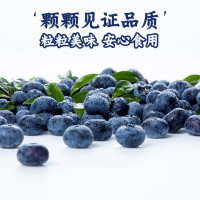 京丰味 云南蓝莓 100g-125g/盒 4盒