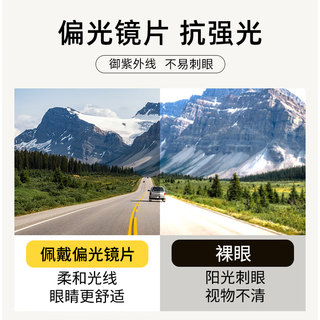 万新近视眼镜 品质磁吸偏光套镜半框黑框眼镜男款可配近视眼镜 黑金C2 镜框+万新1.74防蓝光非球面镜片