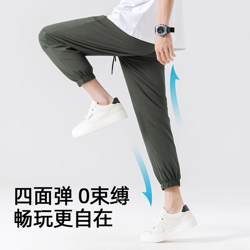 灰#JPB趴趴熊猫