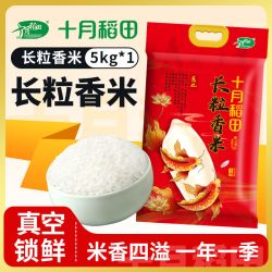十月稻田 长粒香米 东北香米 5kg