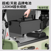 凤凰2025新款电动车小型可上牌电动自行车男女士代步电瓶车长续航时尚款  12A载能铅酸-助力续航约65KM