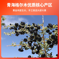 固元红NFC青海黑枸杞原浆原花青素果汁红构纪原浆宁夏店300mL