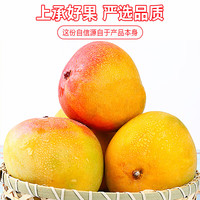 京地达大芒果海南澳芒果新鲜应季当季 净重单果500g+源头直发
