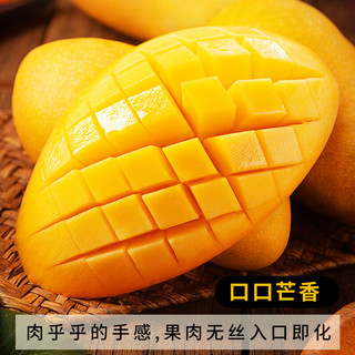 京地达芒果海南金煌芒大芒果水果礼盒 净含量8斤单果300g+源头直发 金煌芒8斤|个大核小|单果300g+