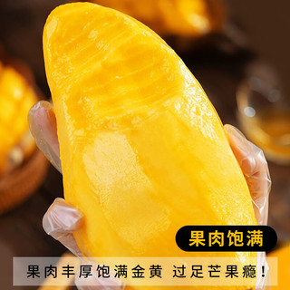 京地达芒果海南金煌芒大芒果水果礼盒 净含量8斤单果300g+源头直发 金煌芒8斤|个大核小|单果300g+