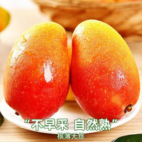 京地达芒果礼盒海南芒果贵妃芒树上熟 净含量8斤单果150g+源头直发 树熟贵妃芒净重8斤|自然树上成熟