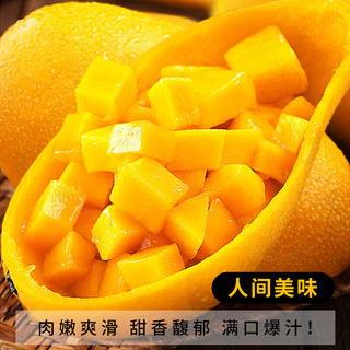 京地达芒果海南金煌芒大芒果水果礼盒 净含量8斤单果300g+源头直发 金煌芒8斤|个大核小|单果300g+