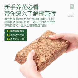 史丹利 粗椰壳砖椰砖营养脱盐椰壳砖1块