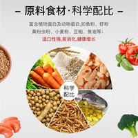海豚锦鲤饲料鱼粮鱼饲料不浑水锦鲤鱼食增体增色金鱼观赏锦鲤饲料 四季育成【大粒】 2.5kg 1袋 上浮型