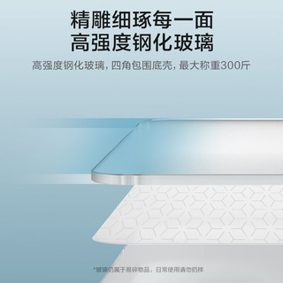  ANTA/安踏 精准 电子秤
