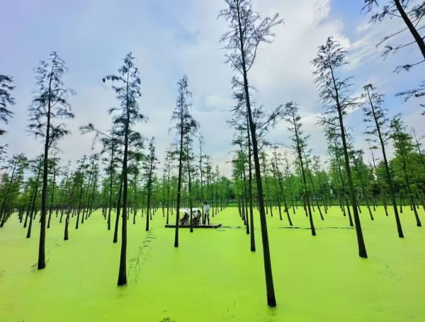 周末暑假不加价，包邮区遛娃宝地！江苏宜兴水墨涵田度假村 多房型1-2晚套餐（含双早+双人温泉无限次+可选竹筏）