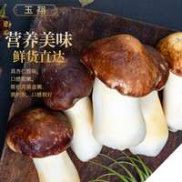京鲜生 新鲜姬松茸 500g
