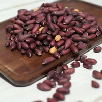 庄派 山东黑花生黑皮五香味花生