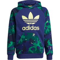 Adidas/阿迪达斯三叶草大童印花连帽休闲运动卫衣 H20312