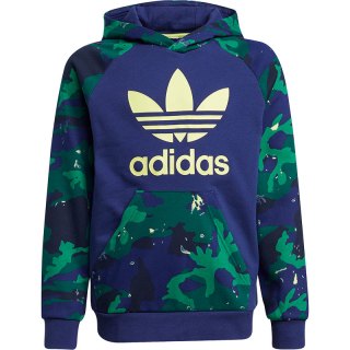 Adidas/阿迪达斯三叶草大童印花连帽休闲运动卫衣 H20312 EJ5595