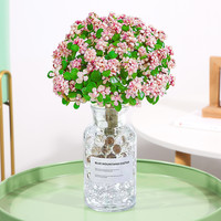 金枝玉叶盆栽老桩多肉水培植物室内花办公室绿植好养净化空气