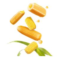 乐锦记 撕棒夹心吐司手撕面包休闲零食办公室营养早餐代餐 乳酪注心棒350g+玉米棒面包325g