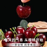 福钧翔福钧翔正宗大樱桃车厘子超值新鲜水果产地直发樱桃生鲜 中果XL单果22-26mm
