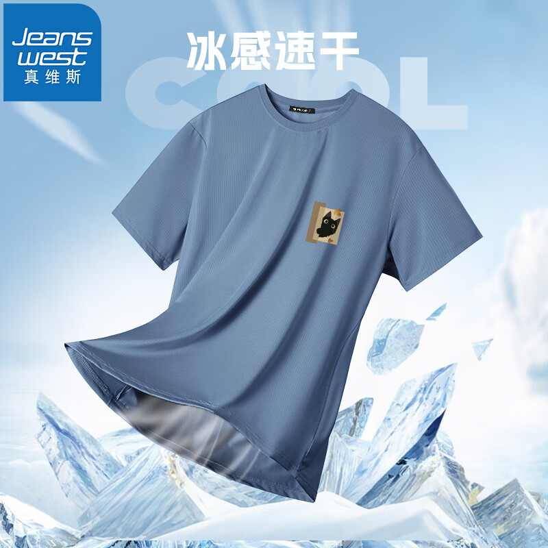 灰蓝（探头猫棕X）