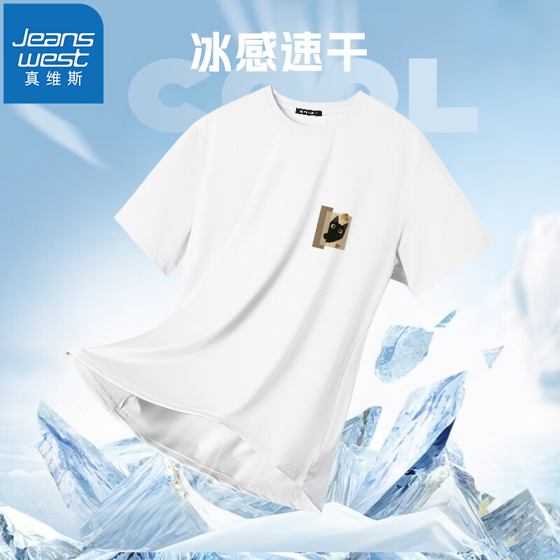 白（探头猫棕X）