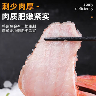 朵芙 海参斑鱼 多规格 红鱼净重 红石斑鱼大眼鱼富贵鱼深海鱼生鲜鱼类 【尝鲜特大】2斤净重*2条