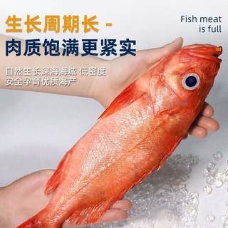 朵芙 海参斑鱼 多规格 红鱼净重 红石斑鱼大眼鱼富贵鱼深海鱼生鲜鱼类 【尝鲜特大】2斤净重*2条