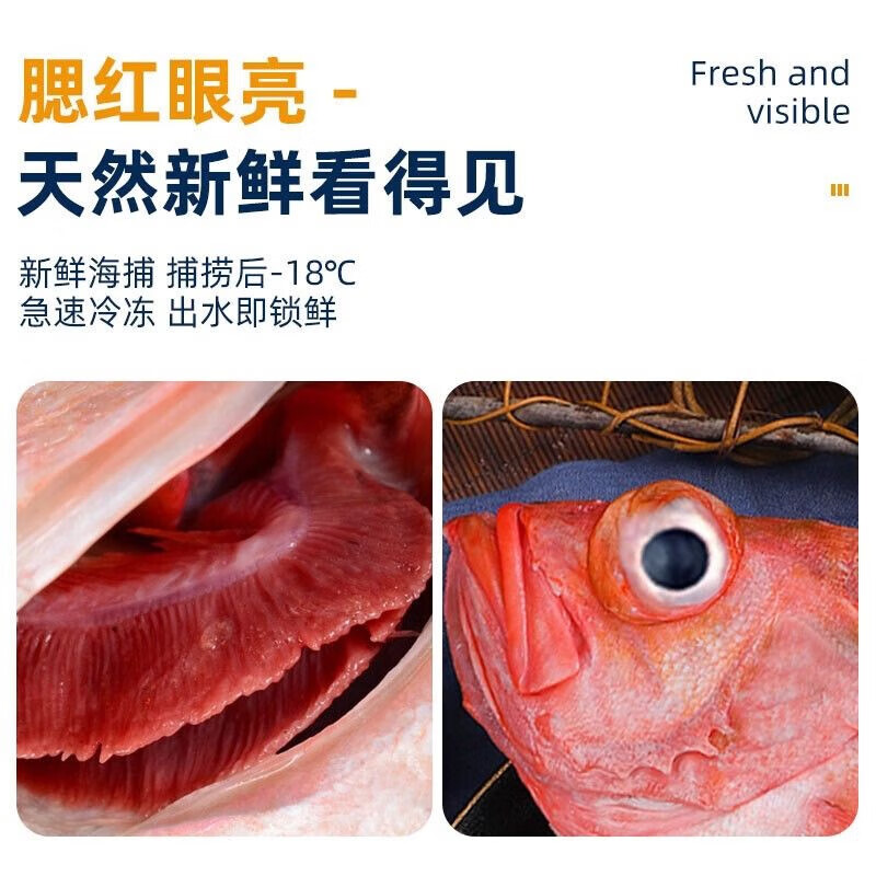 朵芙 海参斑鱼 多规格 红鱼净重 红石斑鱼大眼鱼富贵鱼深海鱼生鲜鱼类