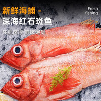 朵芙 海参斑鱼 多规格 红鱼净重 红石斑鱼大眼鱼富贵鱼深海鱼生鲜鱼类 【精选】2斤*4条