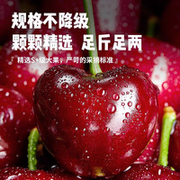 悠轶车厘子大樱桃【多地次日达】山东樱桃国产新鲜水果礼盒 3斤(净重) 精美礼盒装+保温箱 果王 单果28-32mm