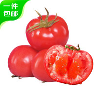 京百味 山东普罗旺斯西红柿 1.5kg装 自然熟沙瓢口感番茄 源头直发