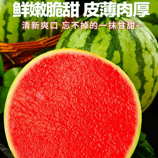 新鲜水果当季麒麟小西瓜薄皮甄选麒麟西 精美麒麟西瓜 新鲜麒麟西瓜 净重6-7-斤（一个装）