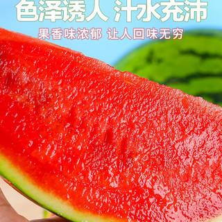 新鲜水果当季麒麟小西瓜薄皮甄选麒麟西 精美麒麟西瓜 新鲜麒麟西瓜 净重6-7-斤（一个装）