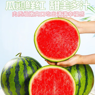 新鲜水果当季麒麟小西瓜薄皮甄选麒麟西 精美麒麟西瓜 新鲜麒麟西瓜 净重6-7-斤（一个装）