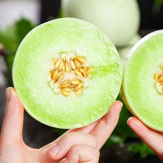 春福乐玉菇甜瓜【源头直发】冰淇淋香甜瓜应季当季水果山东生鲜 净重4.5-5斤优选【单果500g+】 8.5斤 -9斤净重 【单果80-85MM】