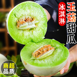 春福乐 冰淇淋香甜瓜应季当季水果山东生鲜 净重4.5-5斤优选【单果500g+