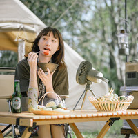 NatureHike挪客户外露营风扇户外野营电风扇充电款超长续航帐篷吊扇便携式照明灯 【续航5-20小时/USB款】森林绿-