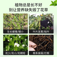 德沃多肥料植物营养棒通用(2.5g*16支)园艺绿植花肥料缓释肥种植棒花卉果蔬 缓释肥营养棒(2.5g*16支)