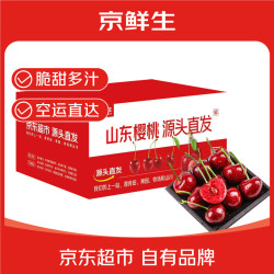 京鲜生 现货J级山东樱桃/车厘子（8g+）净重2.8斤
