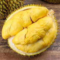 晨臻泰国金枕头榴莲鲜果 巴掌榴莲新鲜水果 软糯香甜 金枕榴莲1.5-2斤（单个榴莲）